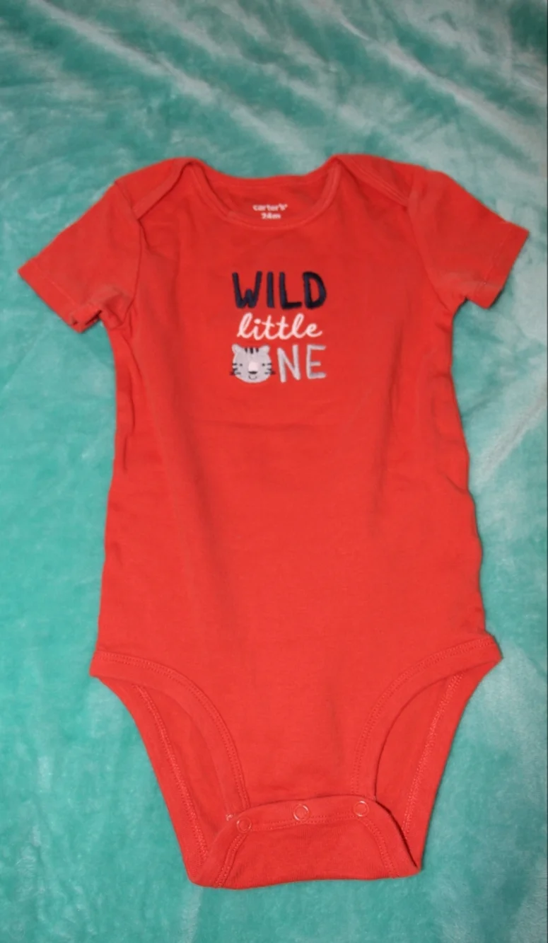 Wild Little One Onesie